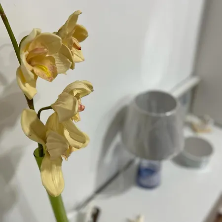 La Casina Azzurra Appartement Montesilvano Marina