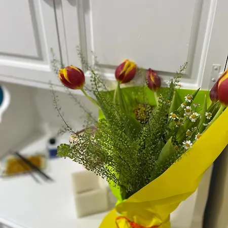 La Casina Azzurra Appartement