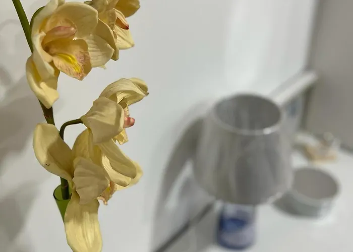 La Casina Azzurra Apartmán Montesilvano Marina